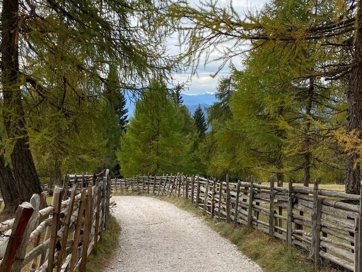 Pension Dolomitenblick Tesimo Exterior foto