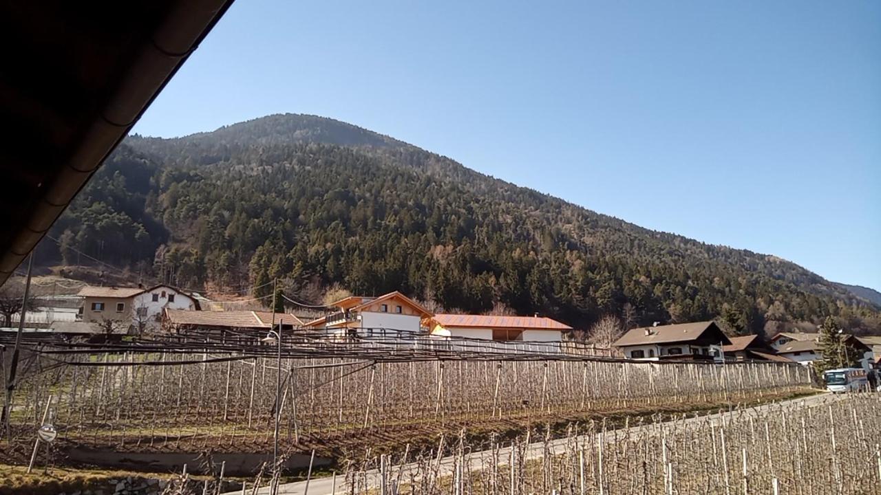 Pension Dolomitenblick Tesimo Exterior foto